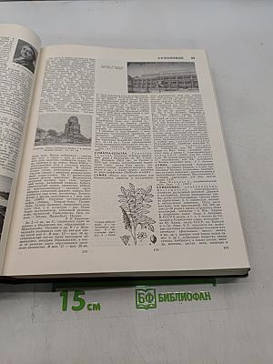 Большая Советская Энциклопедия. Том 25. Струнино — Тихорецк