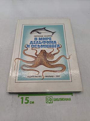 В мире дельфина и осьминога