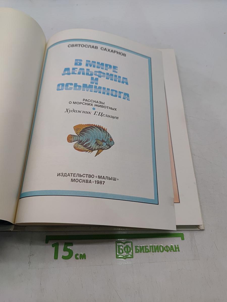 В мире дельфина и осьминога