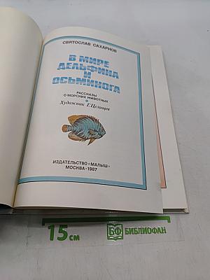 В мире дельфина и осьминога