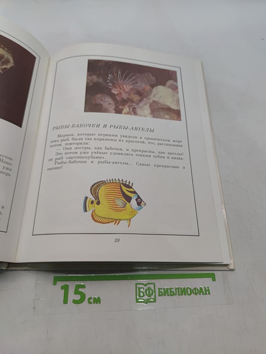 В мире дельфина и осьминога