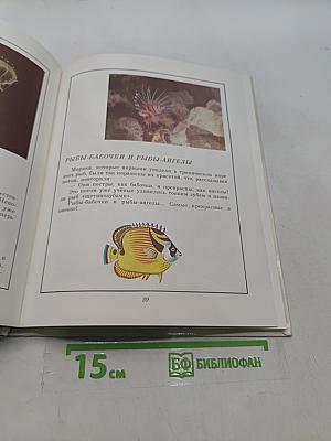 В мире дельфина и осьминога