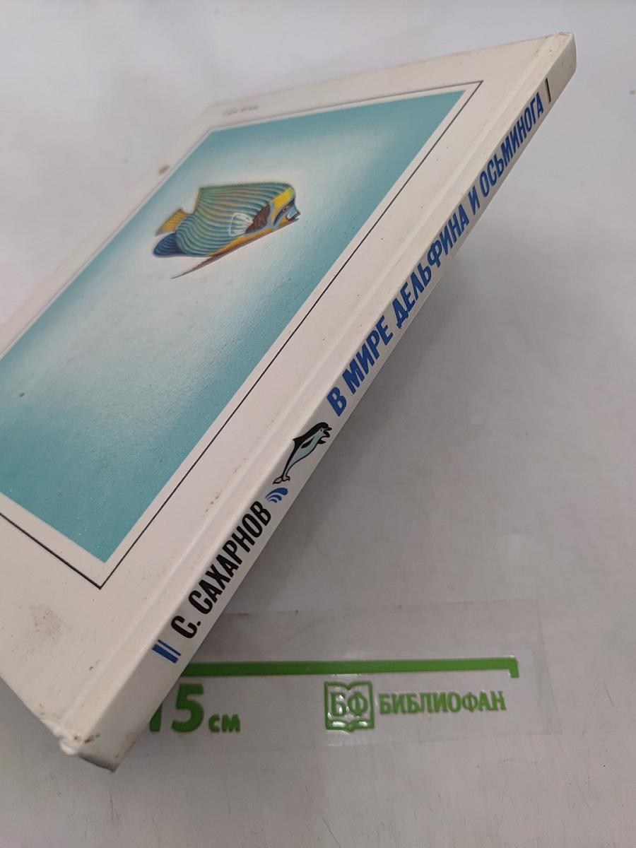 В мире дельфина и осьминога