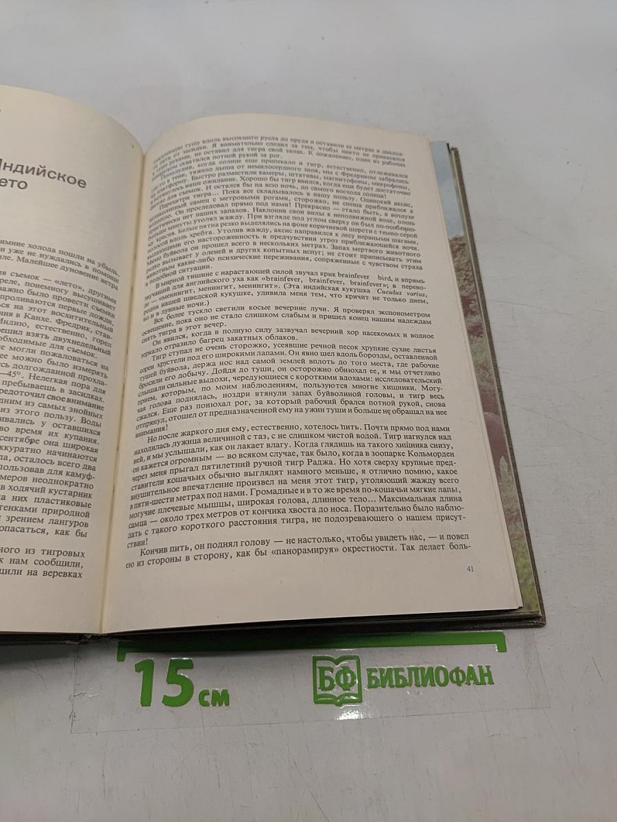 Мир книги джунглей