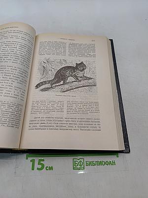 Жизнь животных. Том 1. Млекопитающие