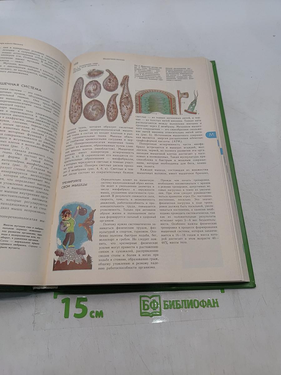 Энциклопедический словарь юного биолога