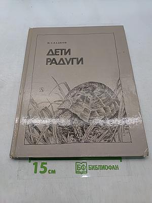 Дети радуги