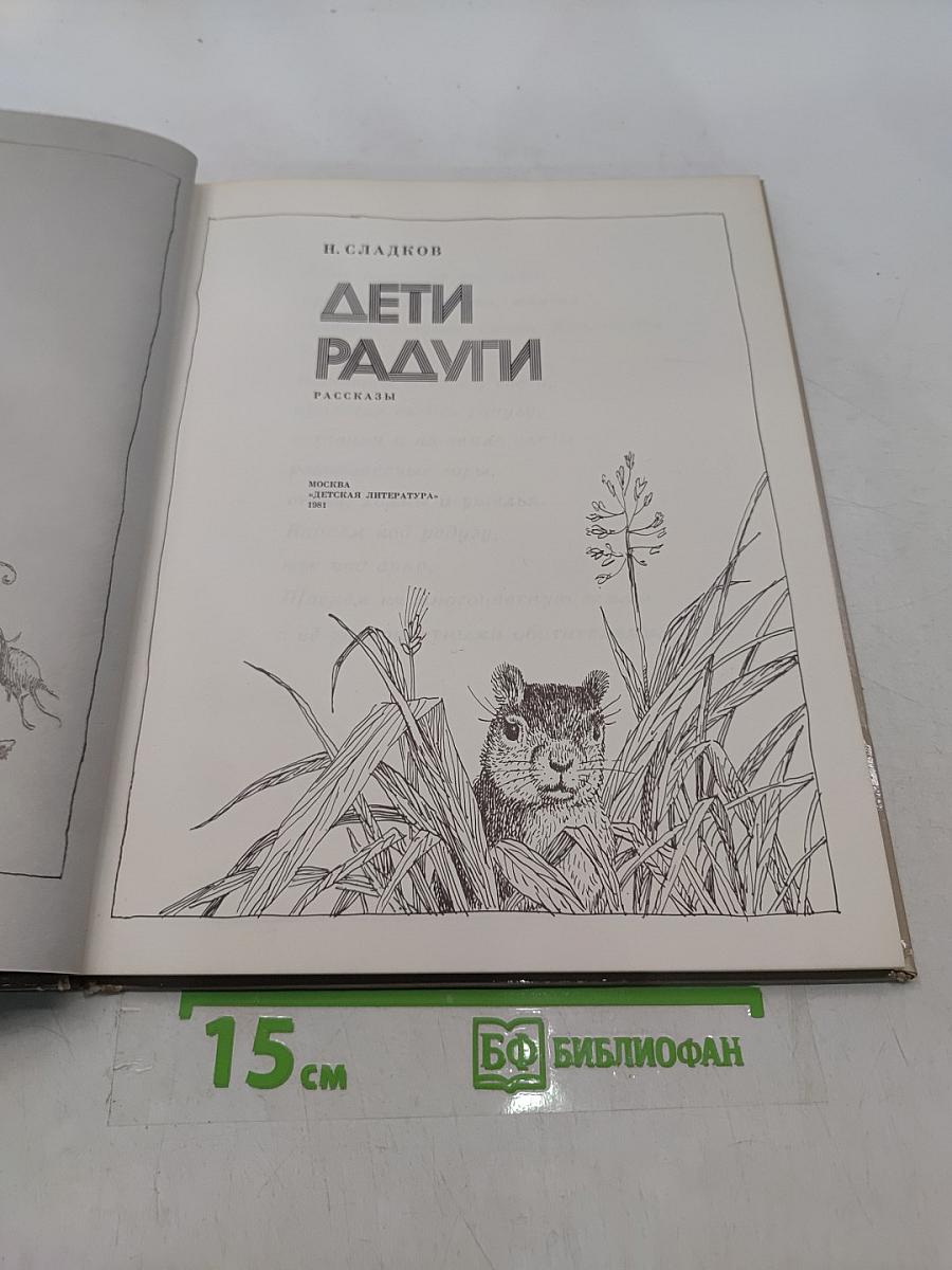 Дети радуги