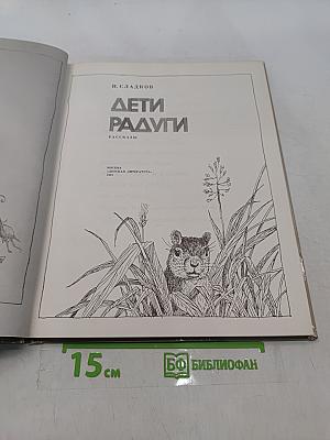 Дети радуги