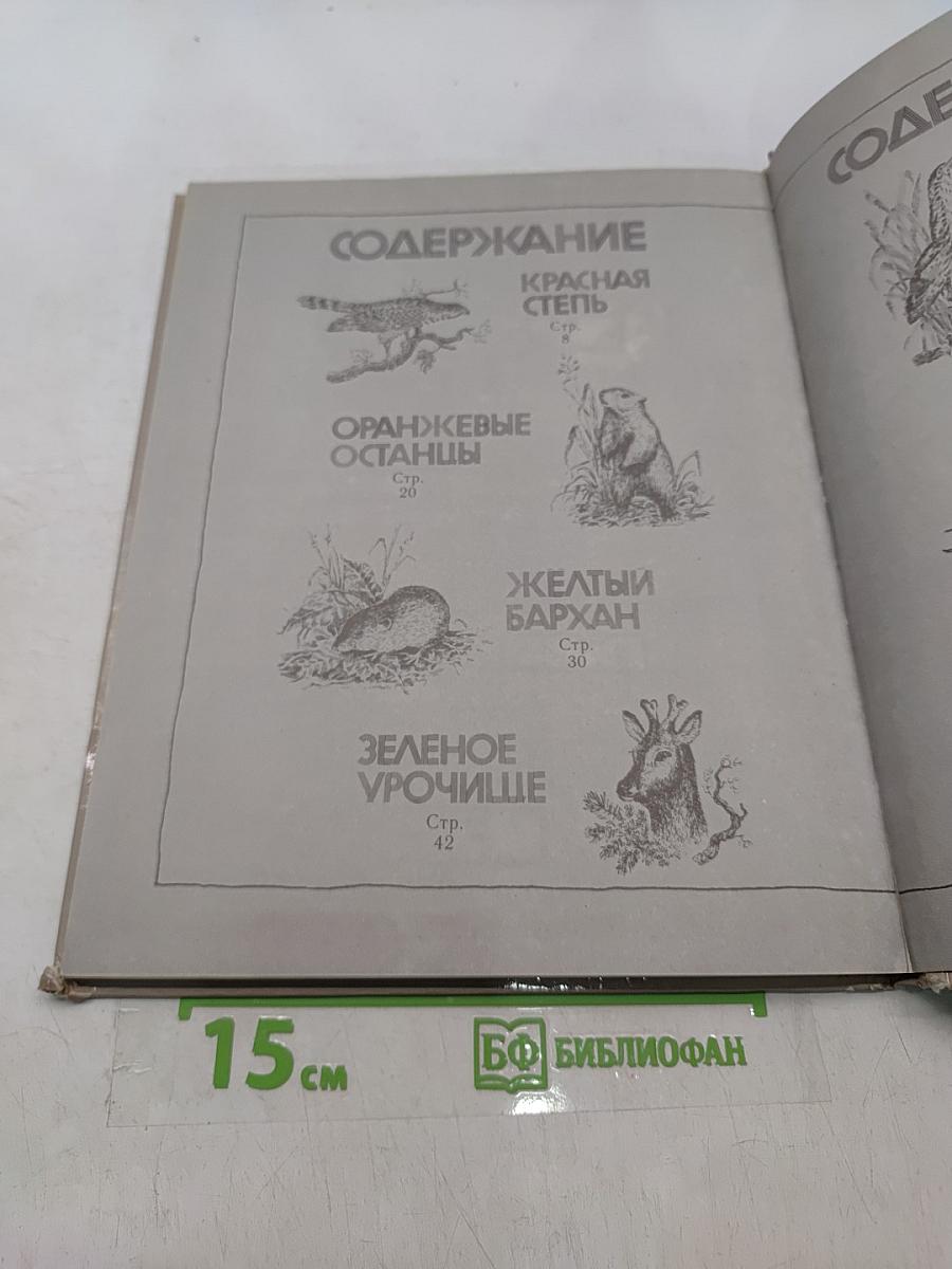 Дети радуги