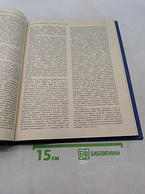 История русского искусства. Том 2. Книга первая