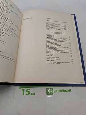 История русского искусства. Том 2. Книга первая