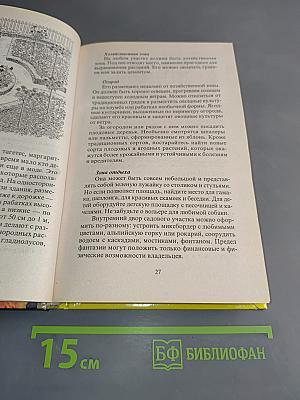 Современный сад