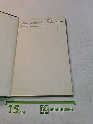 Эхо соснового бора