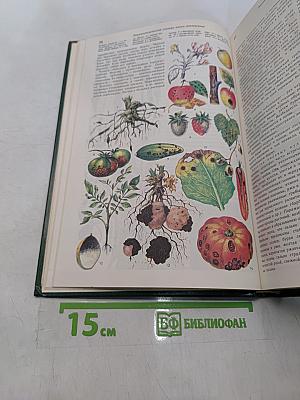 Энциклопедический словарь юного земледельца