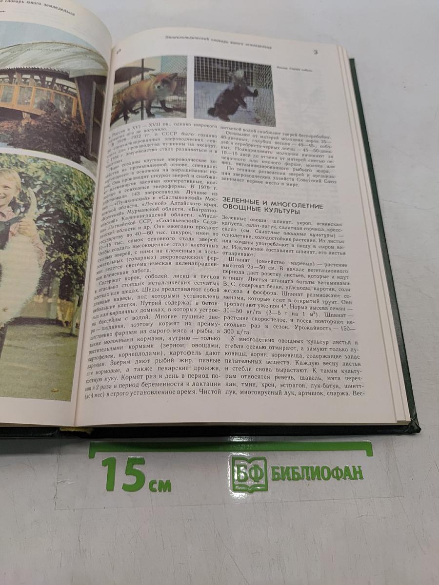 Энциклопедический словарь юного земледельца