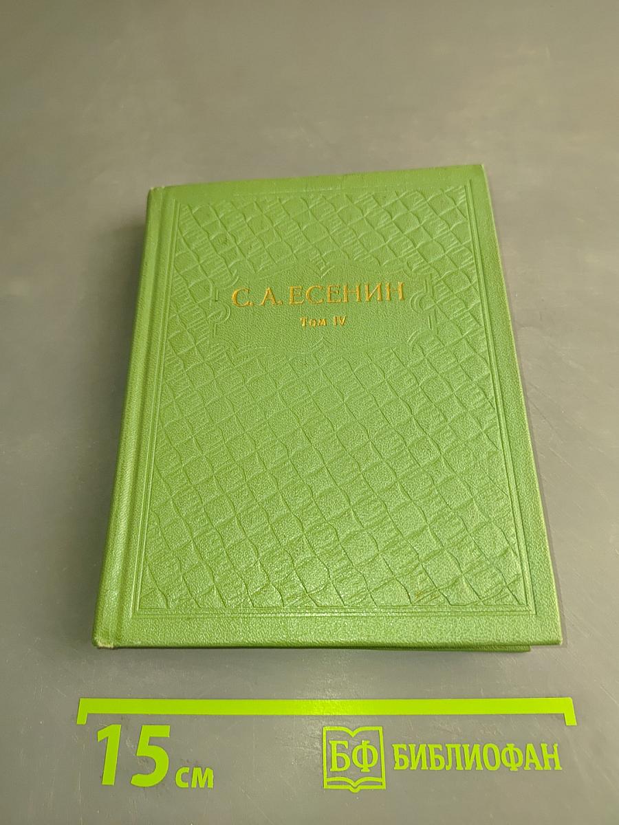 Собрание сочинений. Том 4. Стихотворения, не вошедшие в основное собрание