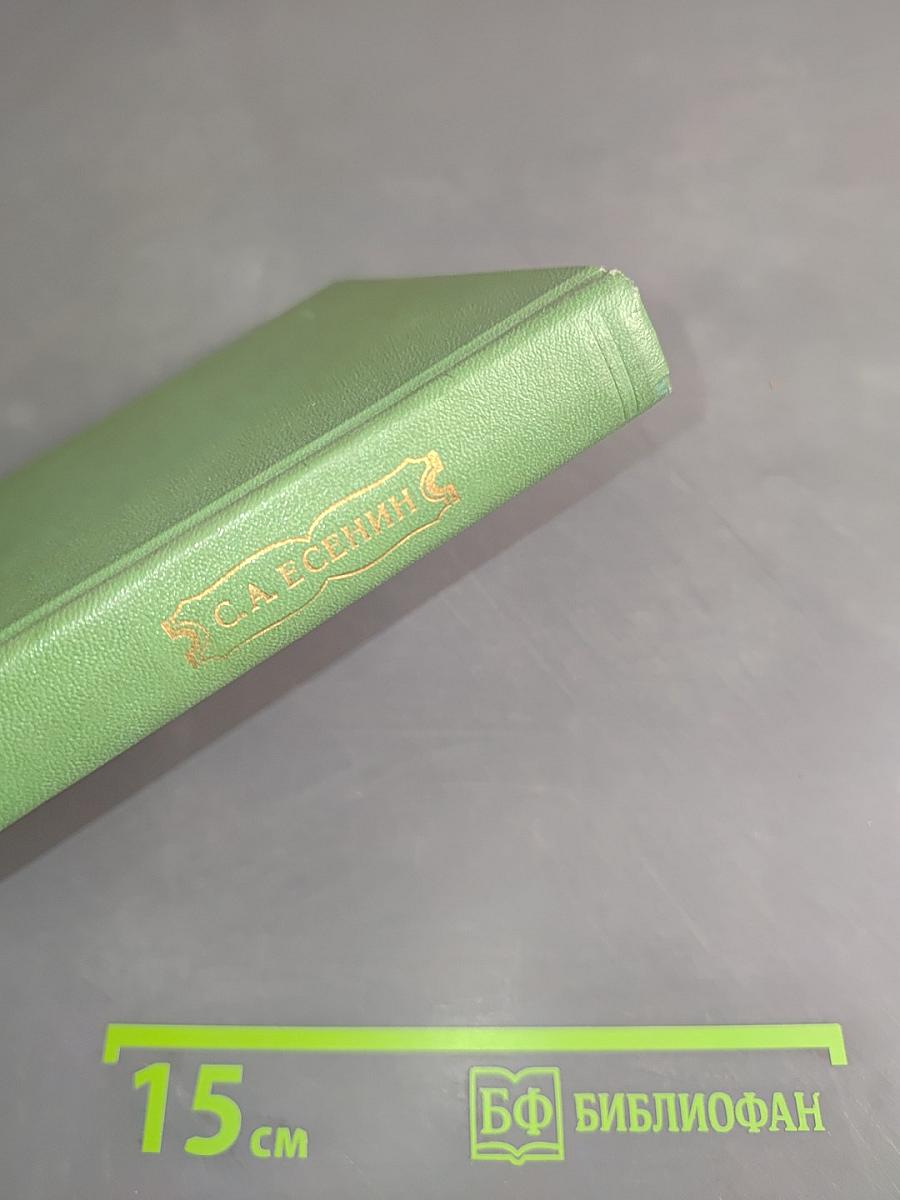Собрание сочинений. Том 4. Стихотворения, не вошедшие в основное собрание