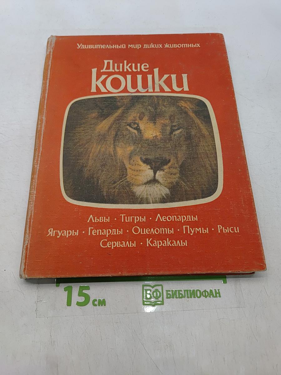 Дикие кошки
