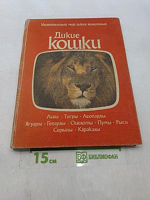 Дикие кошки