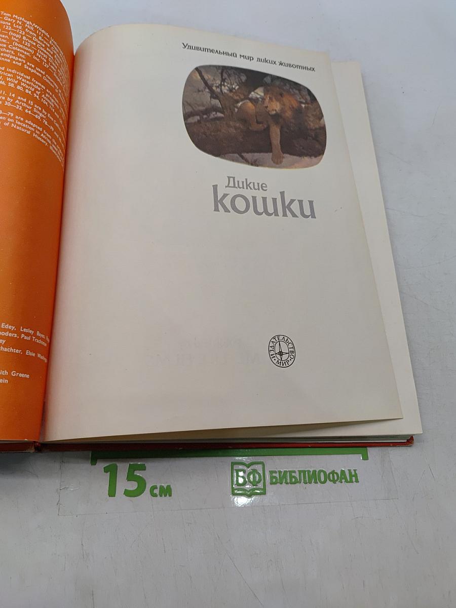 Дикие кошки