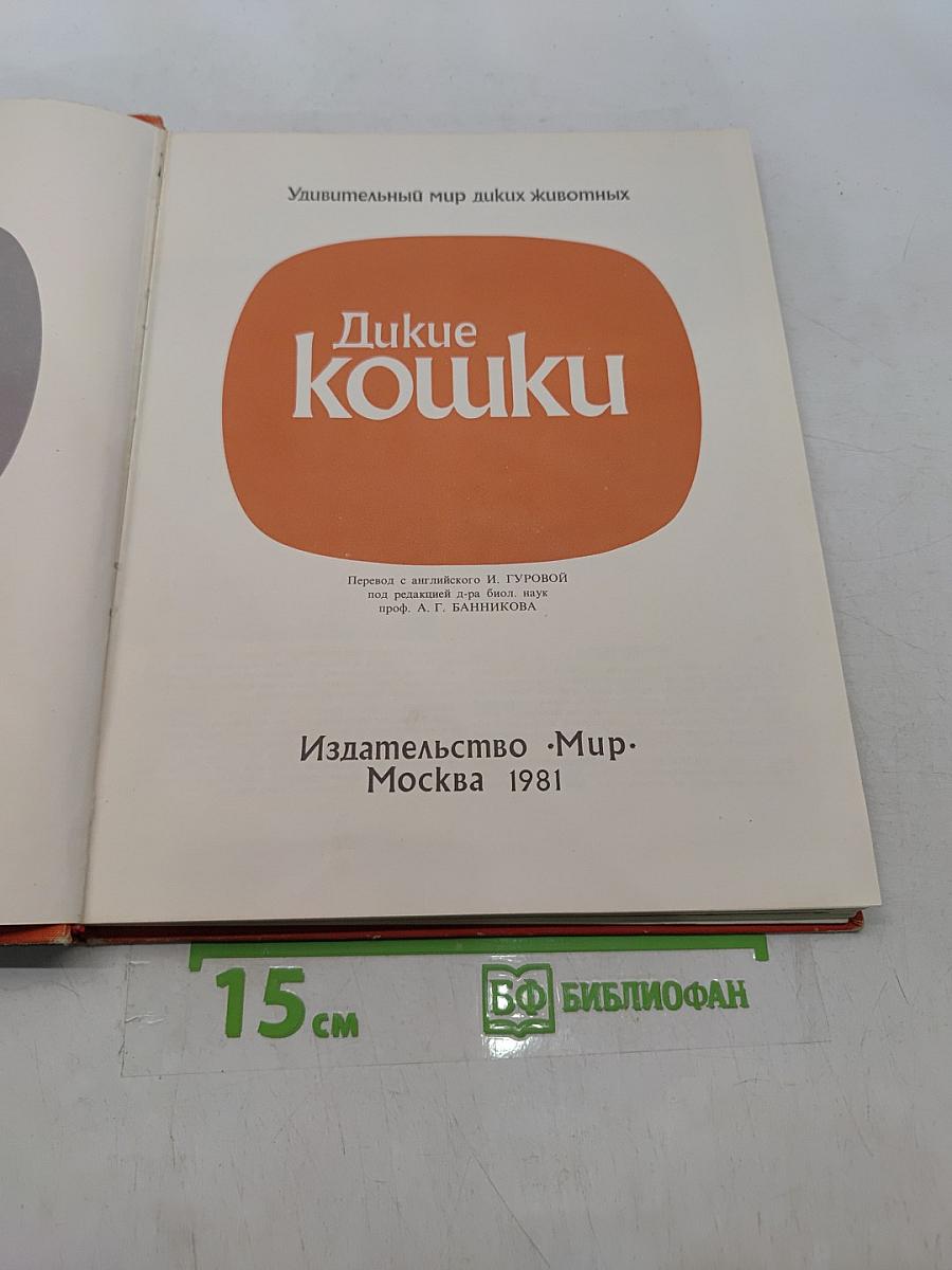 Дикие кошки