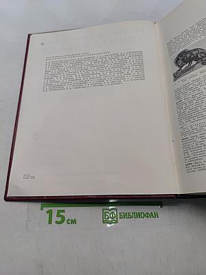 Большая Советская Энциклопедия. Том 3. Бари – Браслет
