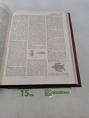 Большая Советская Энциклопедия. Том 12. Кварнер - Конгур