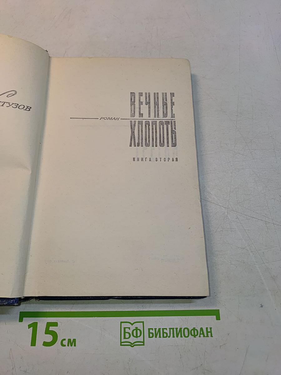 Вечные хлопоты. Книга вторая