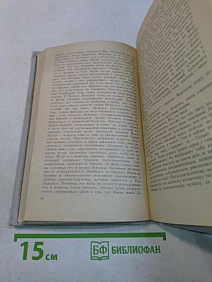 Мыслящий тростник