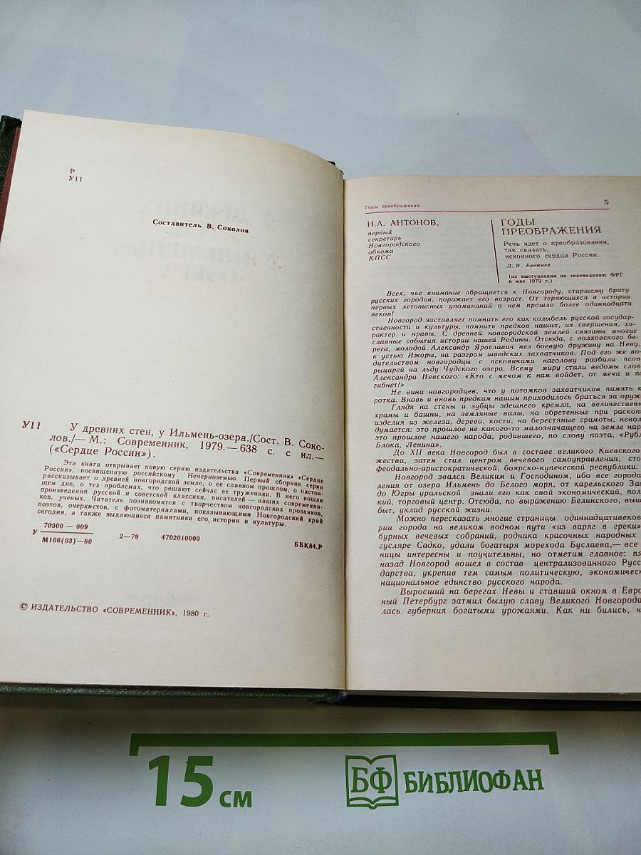 У древних стен, у Ильмень-озера