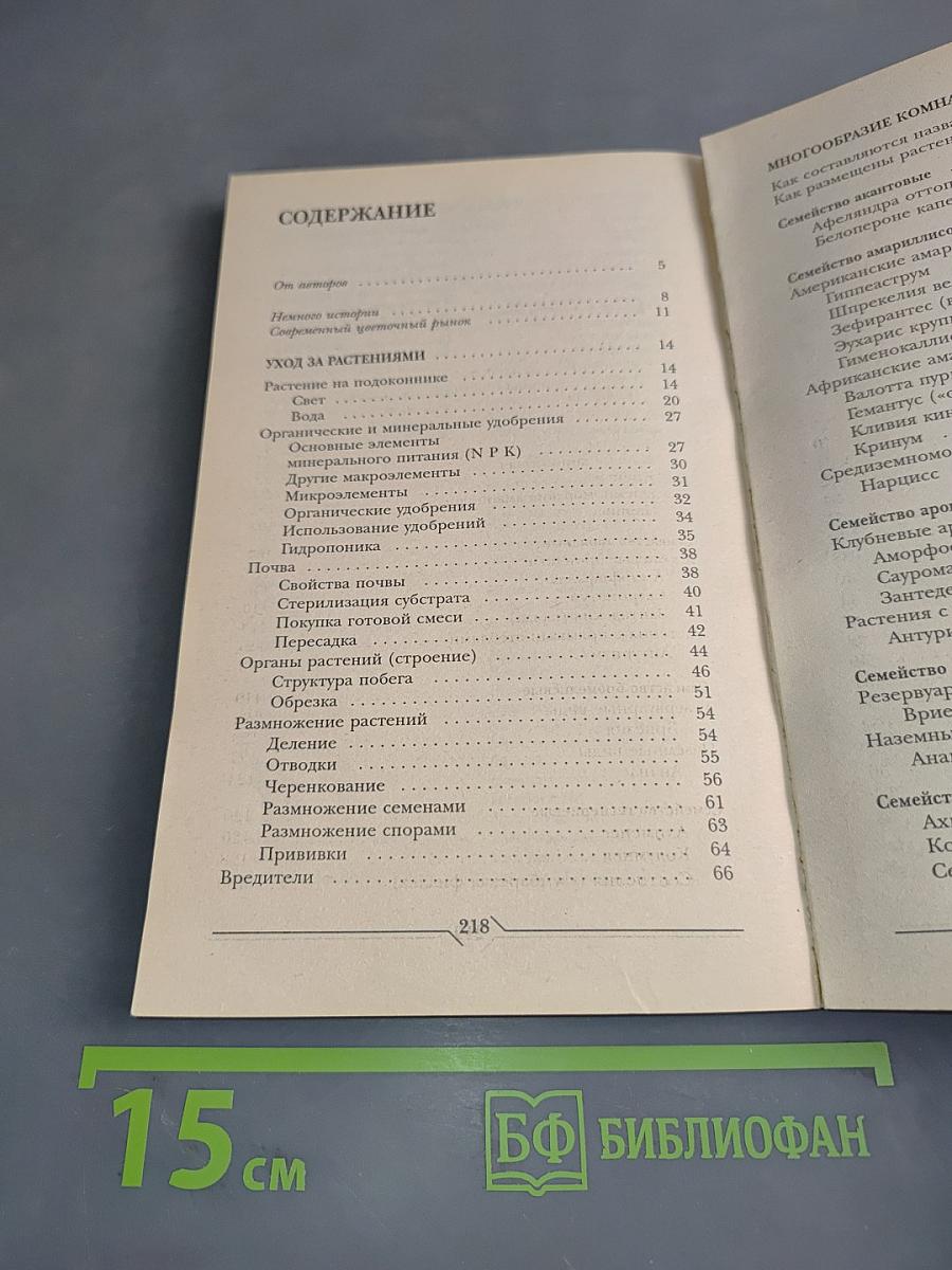 Цветы на подоконнике