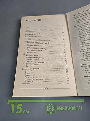 Цветы на подоконнике
