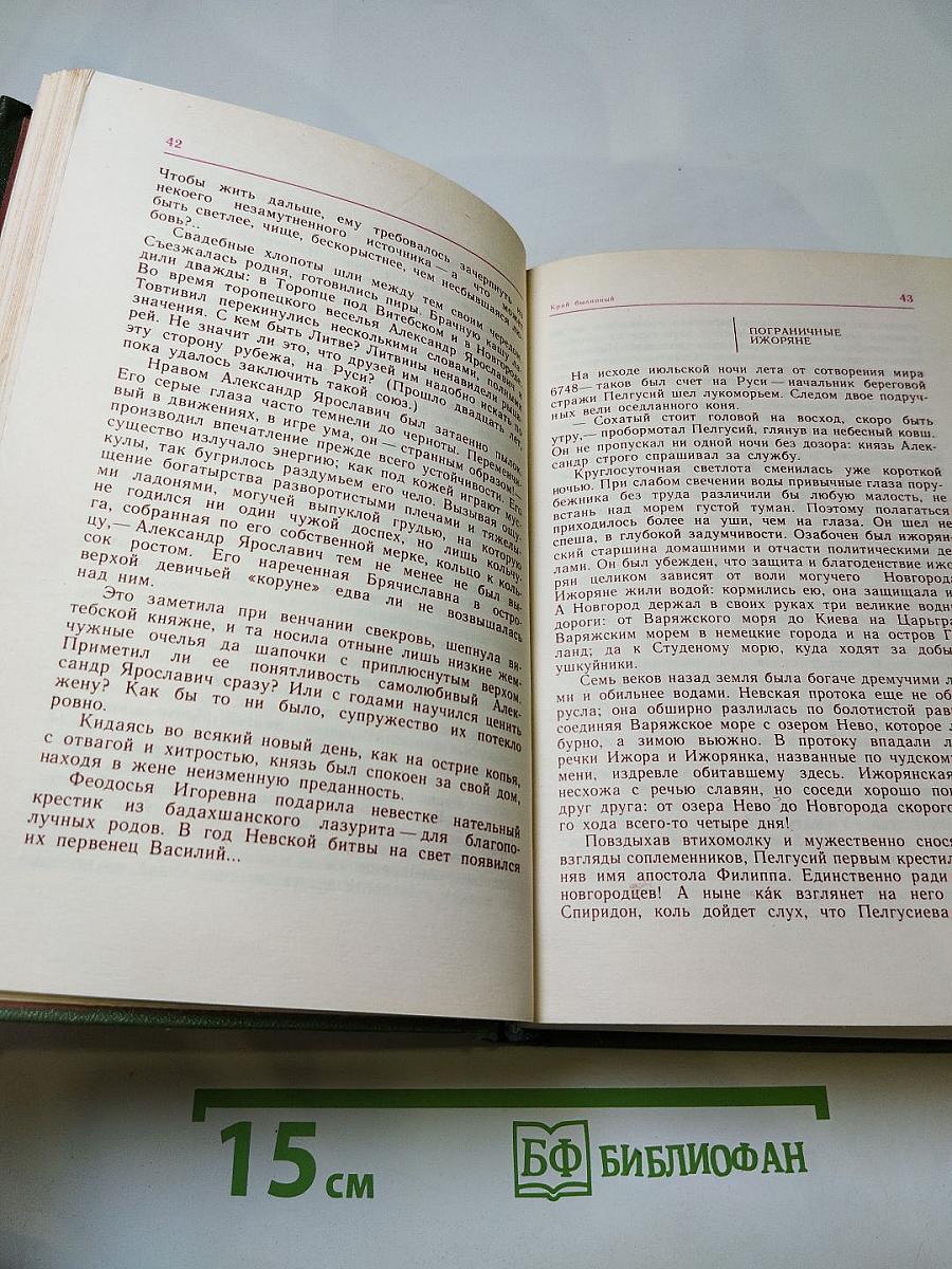 У древних стен, у Ильмень-озера