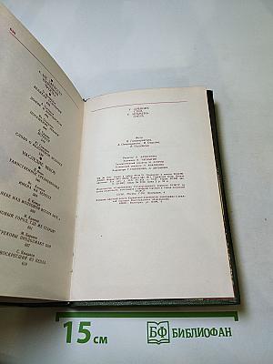 У древних стен, у Ильмень-озера