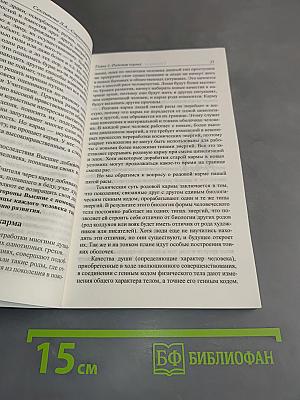 Кармические уроки судьбы