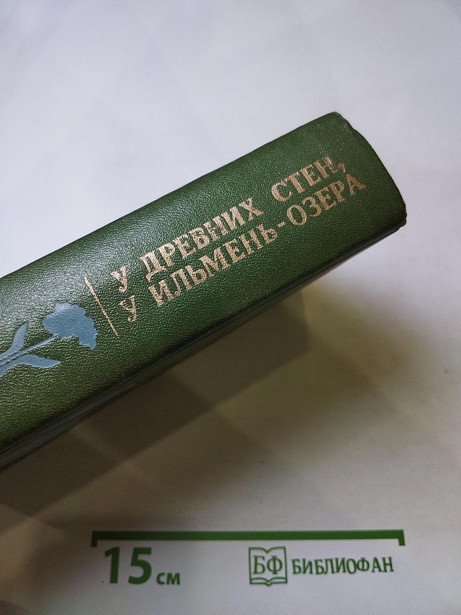 У древних стен, у Ильмень-озера