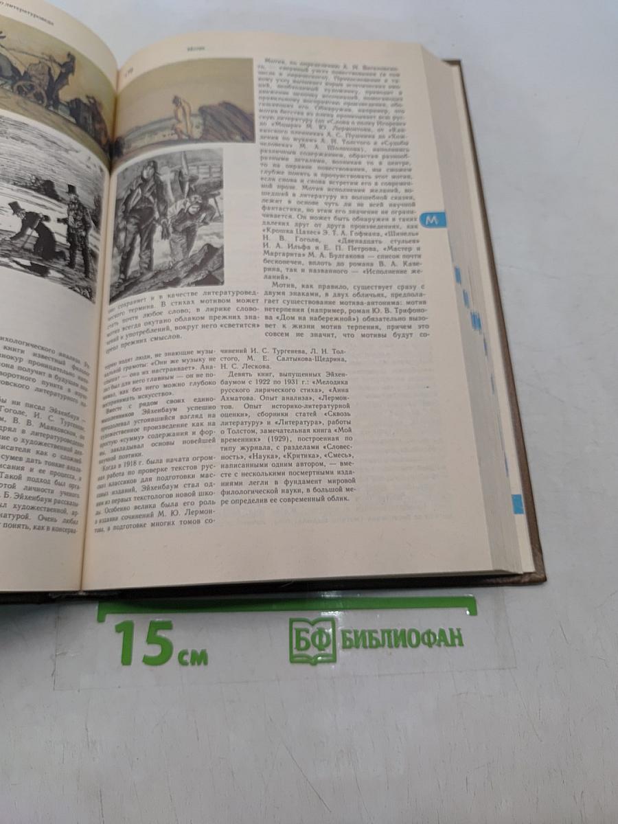 Энциклопедический словарь юного литературоведа