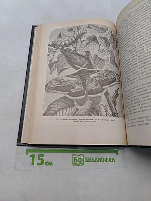 Инстинкт и нравы насекомых. Том 1