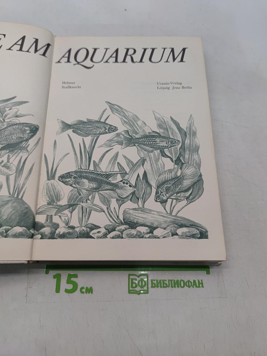 Freude am Aquarium