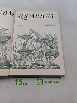 Freude am Aquarium