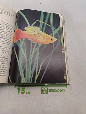 Freude am Aquarium