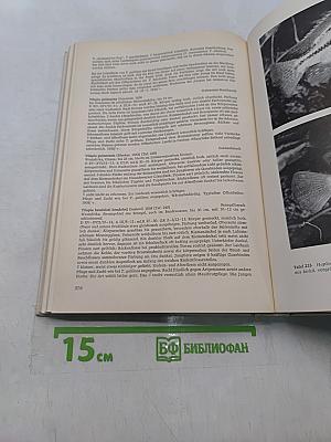 Süßwasserfische aus aller Welt. Teil 2