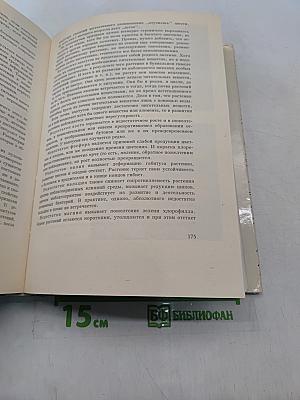 Колючее чудо