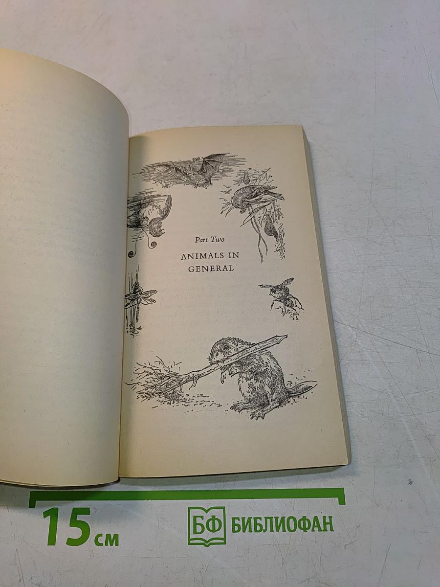 Encounters with Animals
