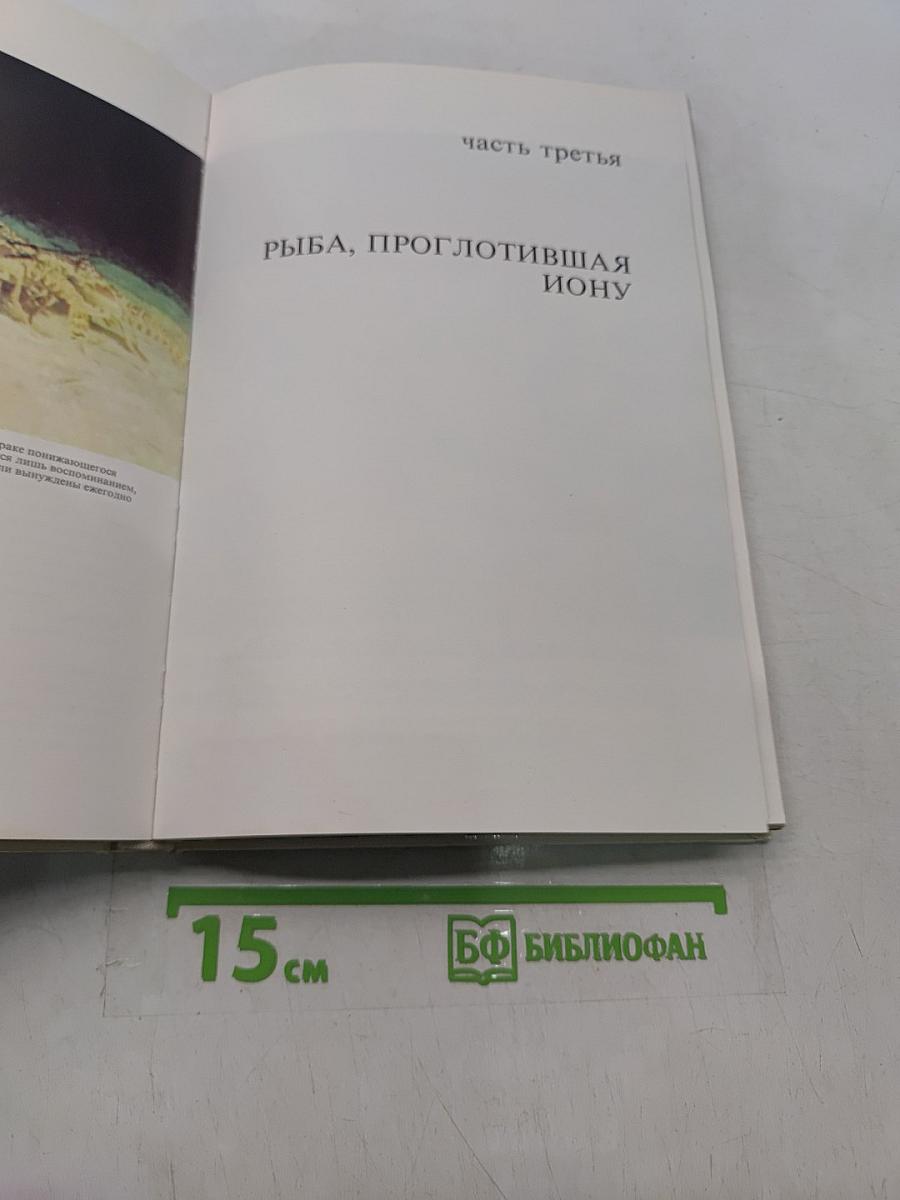 Сюрпризы моря