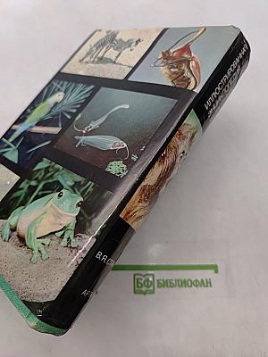 Иллюстрированная энциклопедия животных