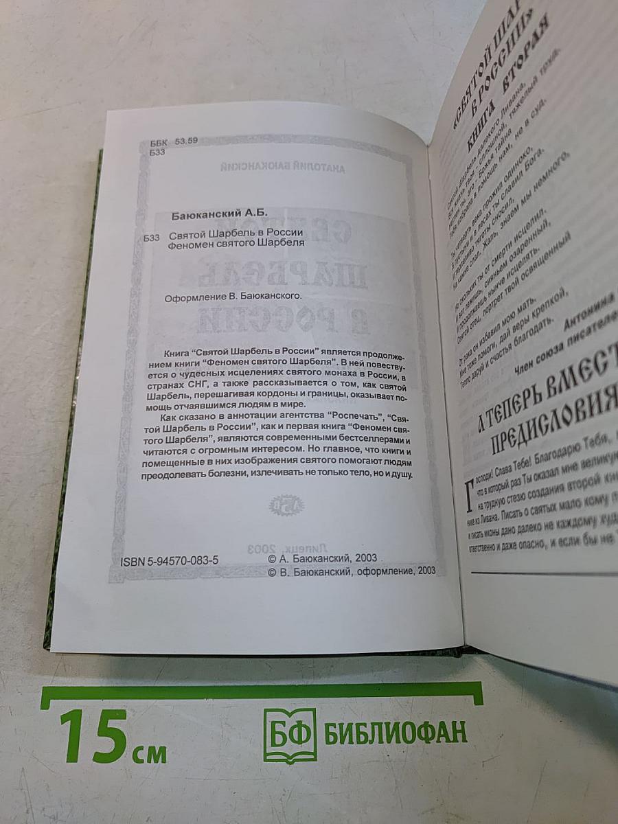 Феномен Святого Шарбеля. Святой Шарбель в России. Книга вторая