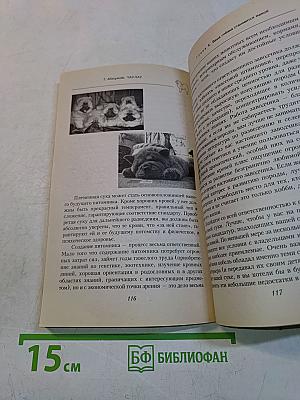 Чау-чау. Пришелец с Востока
