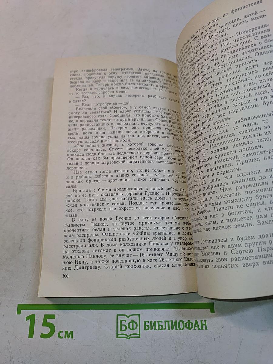 Часовые партизанского эфира
